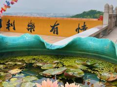 -大赤坎肥仔强烧味海鲜餐厅(大赤坎店)