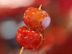 -北平印象.北京烤鸭.新京菜.融合菜(世贸店)
