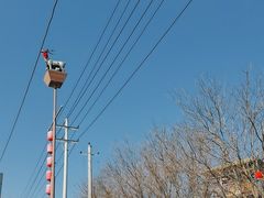 -白鹿原·白鹿仓