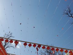 -北京凤凰岭