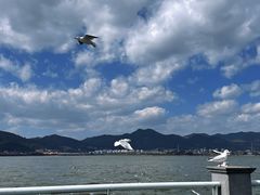 -海埂大坝