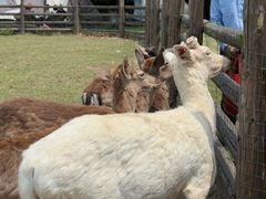 -苏州吴中太湖旅游区