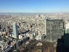 -东京都厅舍
