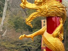-杭州黄龙洞