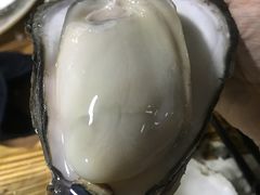 -大富蚝乌东哥饭店·石锅鱼杂·柠檬鸭(革新路店)