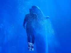 -多彩贵州城极地海洋世界