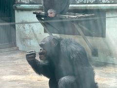 -石家庄市动物园