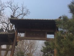 -阳台山自然风景区
