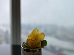 -广州四季酒店