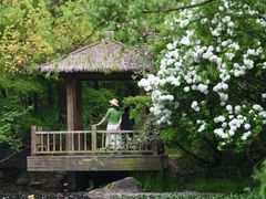 -上海共青森林公园