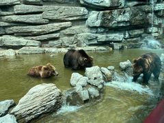 -北京野生动物园