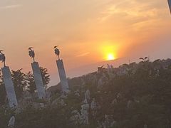 -丁香湖公园