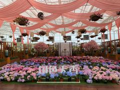-盈香心动乐园