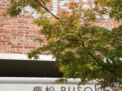 -RUSON(黄龙店)