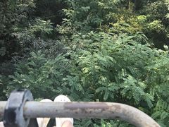 -富斯特索道