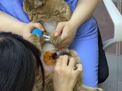 -联合动物医院(光谷诊疗中心)