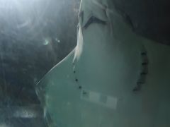-南昌海洋公园