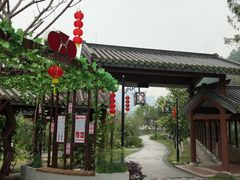 -广州神农草堂中医药博物馆