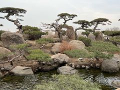 -罗红摄影艺术馆