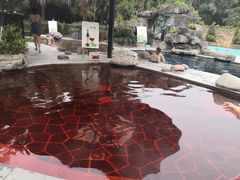 -雅安楠水阁温泉酒店