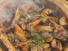 -霞姐屯昌枫木香草鸭店(海螺店)