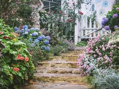 -白鹭湾湿地公园