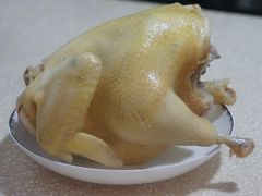 -优护优家Ucare月嫂育儿嫂陪伴师(静安店)