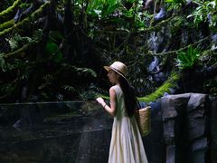 -海合安成都极地海洋公园