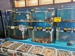 -俏东方·海味水饺·青岛菜(崂山店)