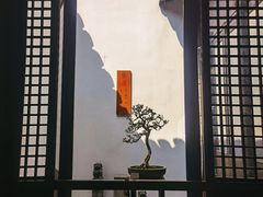 -上海方塔园