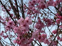 -梁鸿国家湿地公园