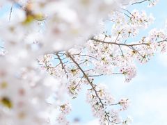 -龙美术馆(西岸馆)