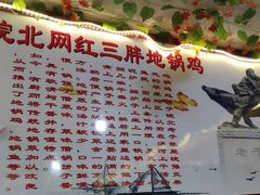 -武氏皖北网红三胖地锅鸡(桐城路店)