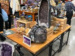 -Behring World of Animals(上海自然博物馆店)