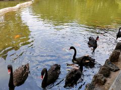 -海南热带野生动植物园