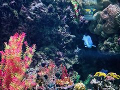 -海合安青岛极地海洋公园
