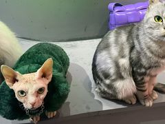 -极木²邸 人与宠物·互动社区