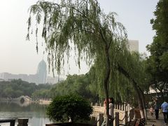 -文瀛公园