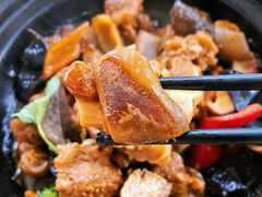 -兴隆槟榔园休闲农庄