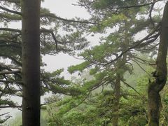 -洛阳白云山景区