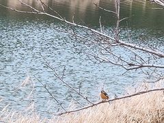 -美兰湖景区
