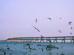-黑石礁公园