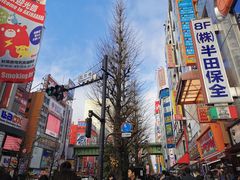 -秋叶原电器街