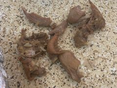 -煲煲掂风味煲仔饭餐厅(西区店)