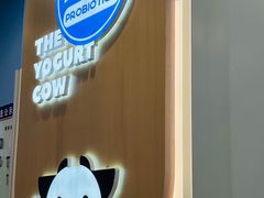 -一只酸奶牛(春熙路店)