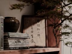 -自由生长植物工作室(深港花卉中心店)