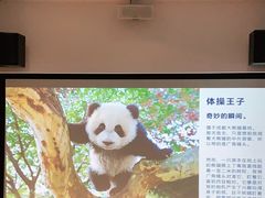 -三联韬奋书店(宽窄巷子店)