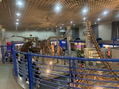 -国家自然博物馆