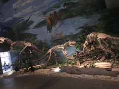 -自贡恐龙博物馆