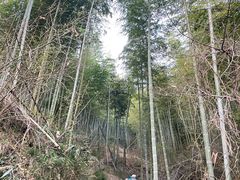 -湖州龙王山景区